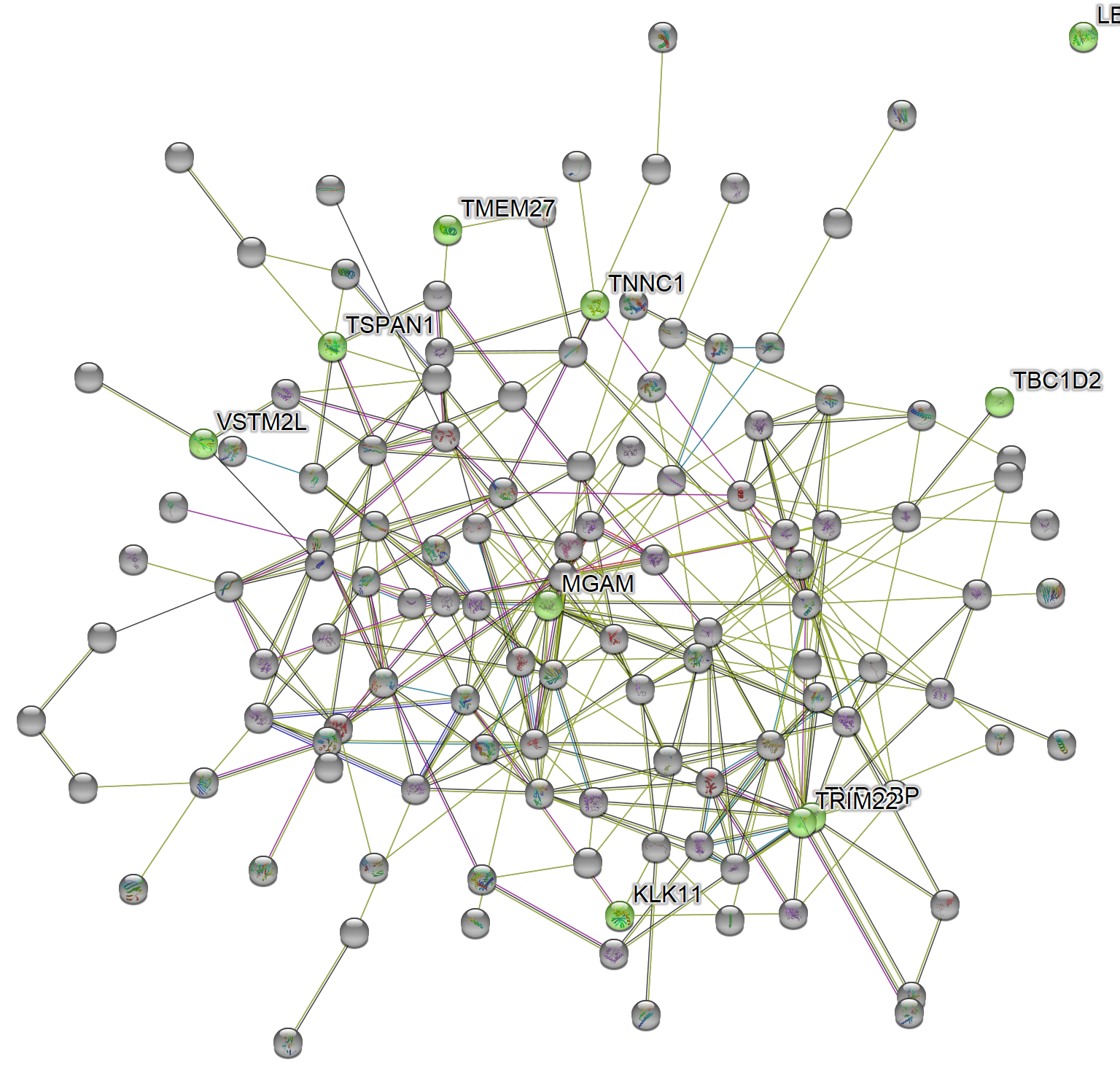 Subnetwork